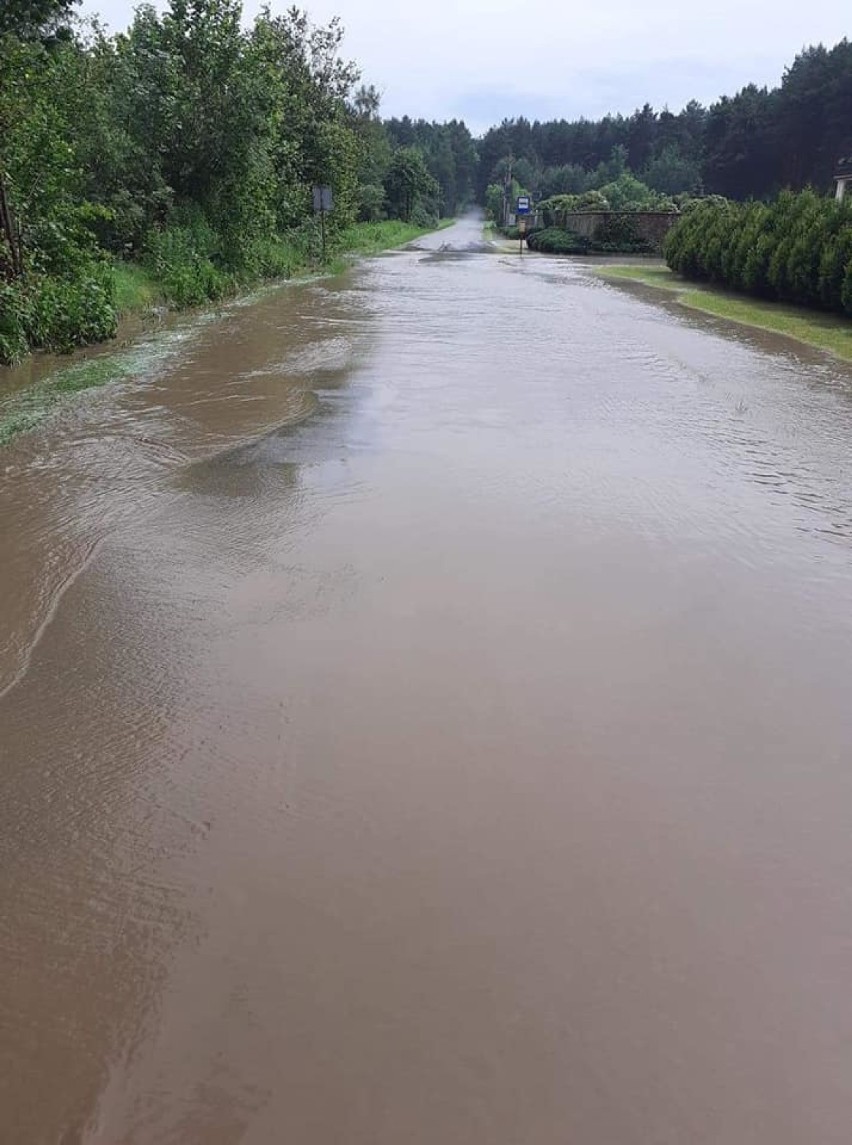 Przechodzą burze nad regionem. Zalane posesje, połamane drzewa