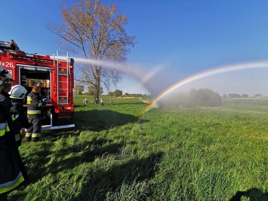 Pożar trawy i krzewów w Rybowie pod Gołańczą. Interweniowała straż pożarna  