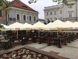 Najlepsze ogródki piwne w Kielcach. Te miejsca polecają kielczanie! Zobacz ranking i zdjęcia