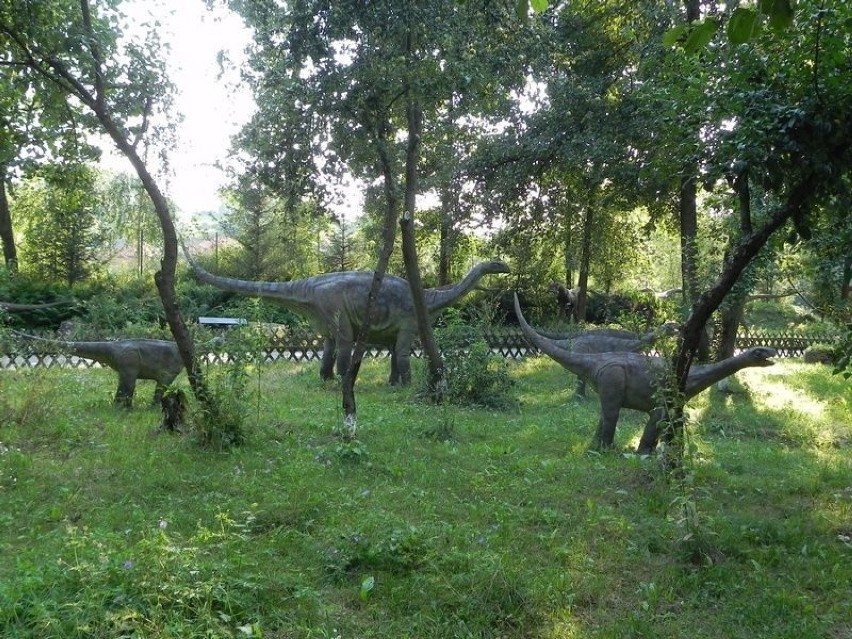 Powstanie JuraParku w Bałtowie ma związek z odnalezieniem na...