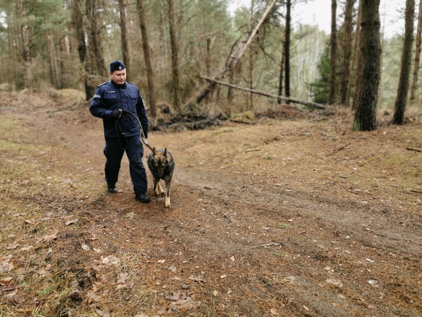 Pies Kafar nowym czworonożnym funkcjonariuszem białostockiej policji (zdjęcia) 