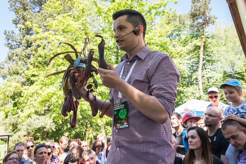 Przez trzy weekendowe dni w myślęcińskim zoo mogliśmy...