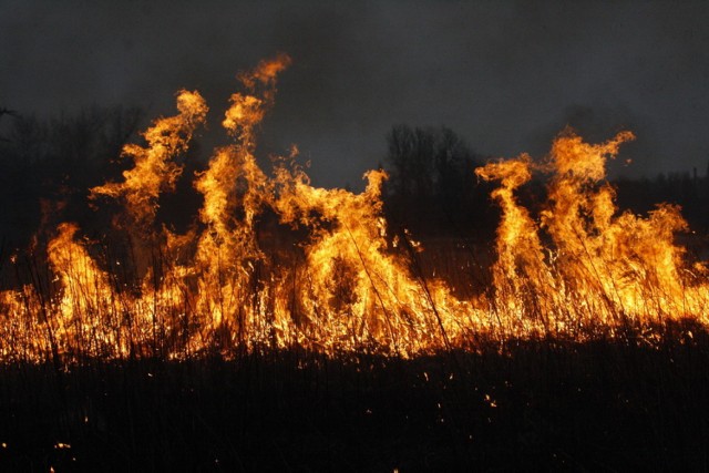 Pożar traw w Legnicy, okolice giełdy