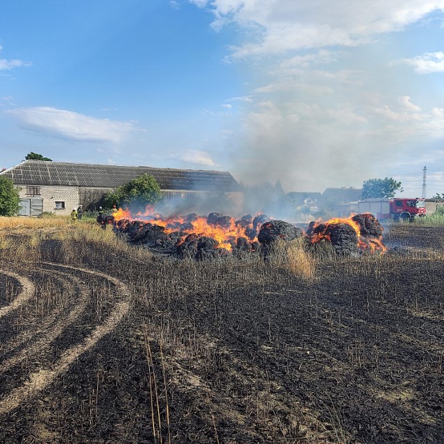 Spaleniu uległo około dwóch hektarów zboża. W wyniku szybkiego rozprzestrzeniania się ognia zapalił się też stóg balotów słomy (około 100 sztuk) w gminie Piotrków Kujawski