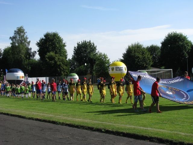 Silesian Cup
