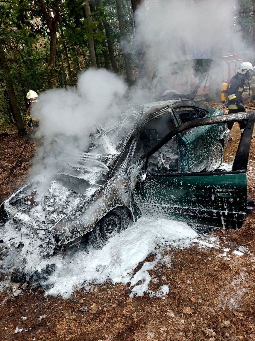 Pożar samochodu w lesie między Bolewicami, a Grudną 