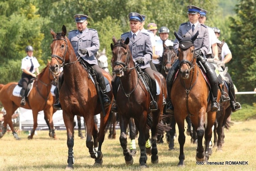 Turniej Policji Konnej w Częstochowie [NOWE ZDJĘCIA]