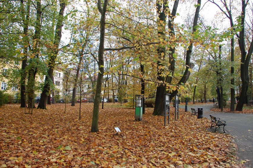 Park Miejski w Jaśle urzeka kolorami jesieni