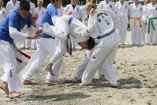 Pokaz taekwondo