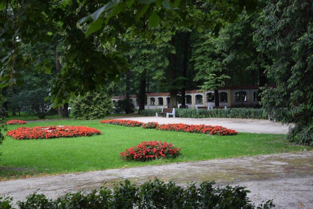 Park okalający Pałac Branickich od strony ul. Legionowej. Świetne miejsce do wypoczynku w otoczeniu bujnej roślinności.