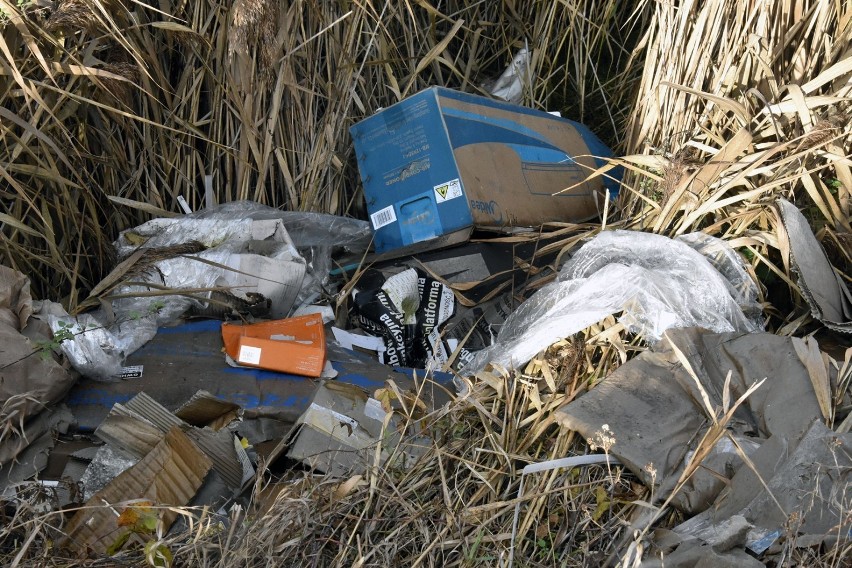 Kolejne dzikie wysypisko śmieci w Legnicy