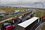 Protest rolników 2024 w Żninie. Droga S5 zablokowana. Myśliwi też protestowali