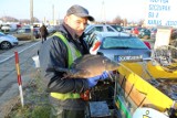 Karpie, sumy, choinki, stroiki i inny świąteczny asortyment na targowisku w Wieluniu ZDJĘCIA