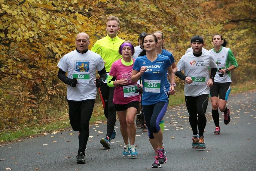 Półmaraton w Skwierzynie