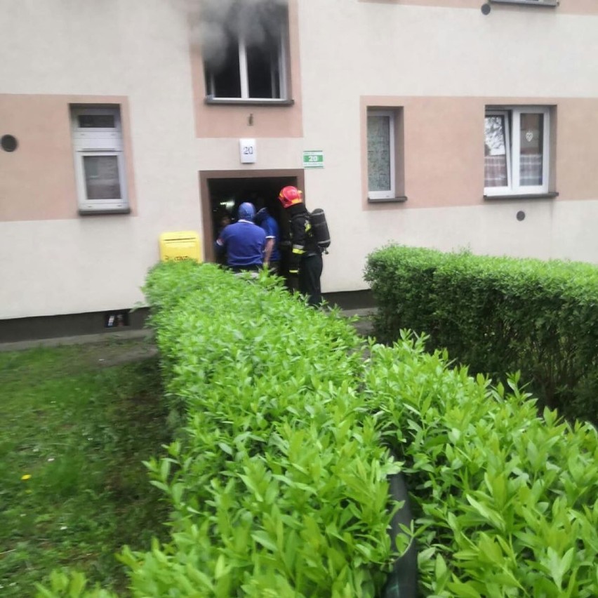 Pożar mieszkania w Gliwicach. Ewakuowano 10 osób. To było podpalenie? Policja prowadzi śledztwo