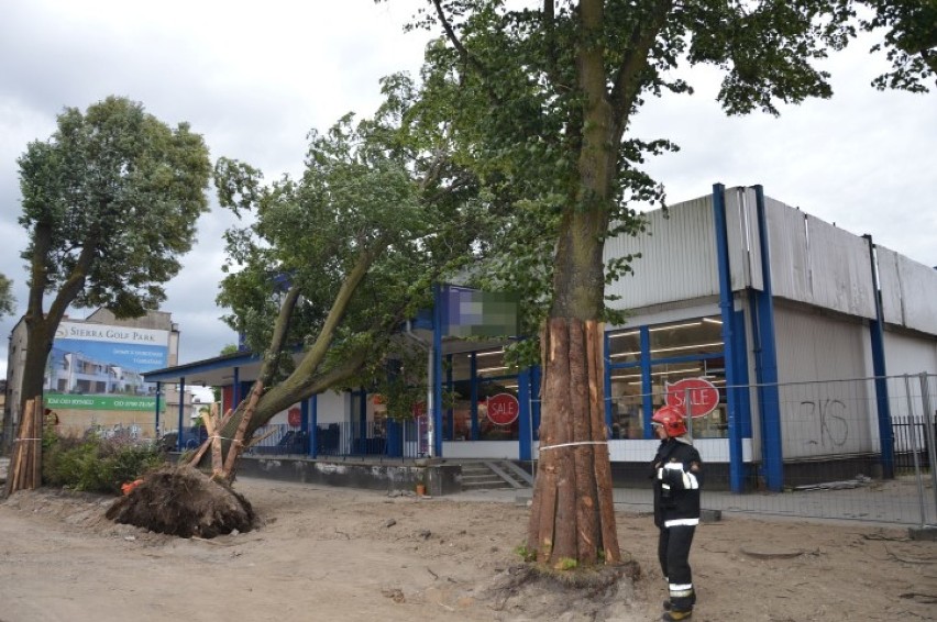 Silny wiatr przewrócił drzewo na market w Wejherowie [ZDJĘCIA]