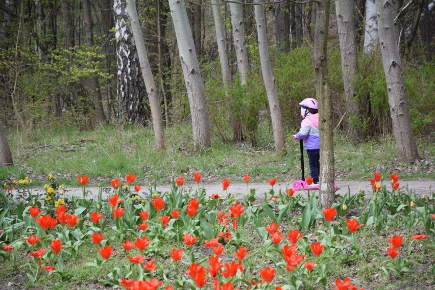 W województwie lubuskim nie brakuje klimatycznych miejsc,...