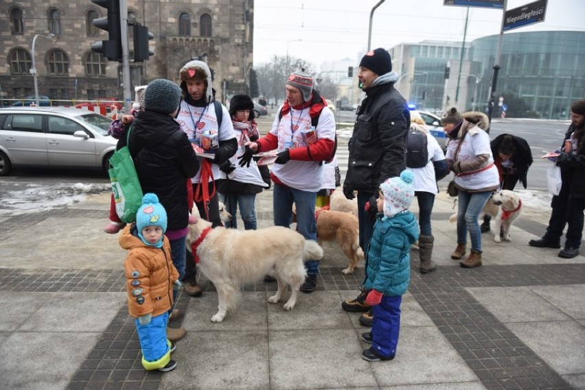 Od siedmiu lat w Poznaniu na rzecz Orkiestry kwestują psy