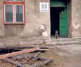 Pogorzelcy z kamienicy przy ul. Sieleckiej w Będzinie... żyją jak w XIX wieku