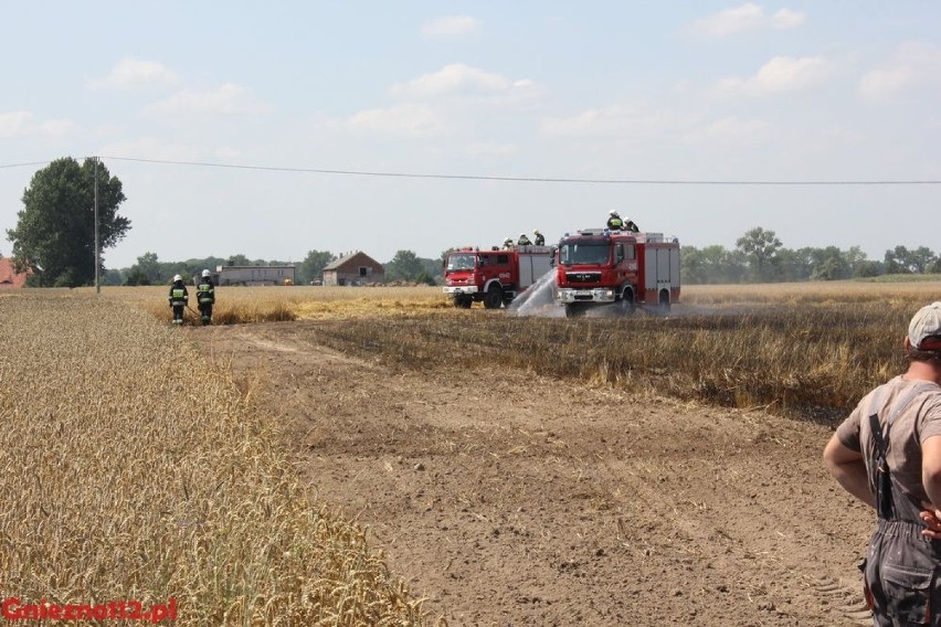 W Arcugowie (gmina Niechanowo) doszło do pożaru 5 hektarów...
