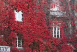 Jesienna odsłona budynków w Warszawie. Kolorowe elewacje zachwycają fotografów i przechodniów. Tam jest najpiękniej