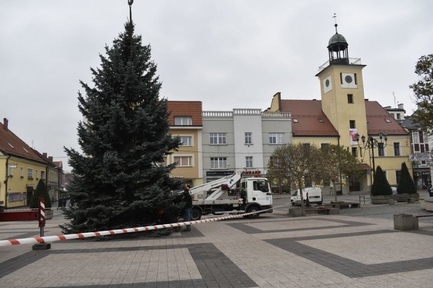 Chonka w Rybniku już na rynku! Drzewko z dzielnicy Niewadom na Boże Narodzenie 2018