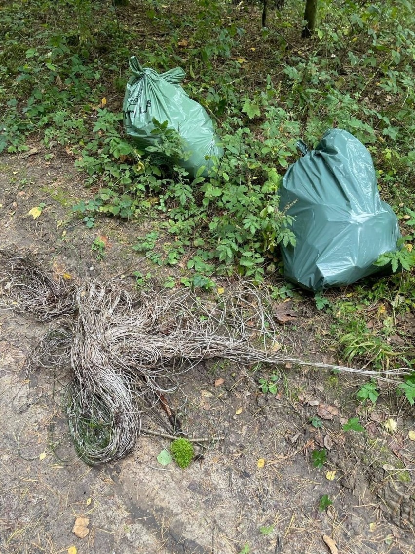 Ależ ekipa. Dbają o nasze lasy.