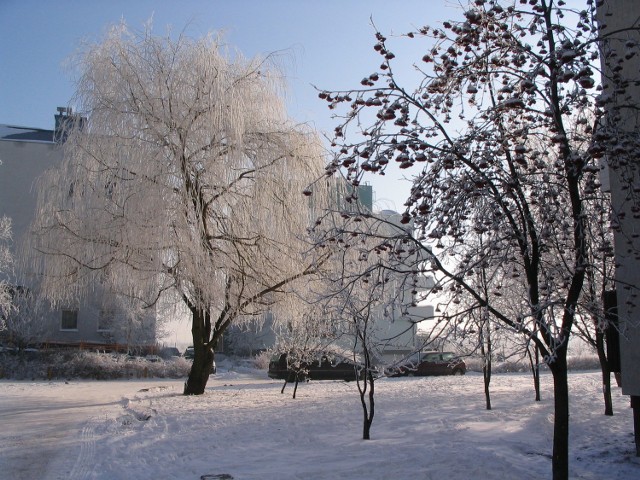 Mroźna lecz piękna zima we Wrocławiu