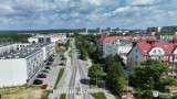Dwie nowe inwestycje drogowe w Kielcach zaczną się od wycinki drzew. Od wtorku, 20 lutego pierwsze prace na Klonowej oraz Orląt Lwowskich