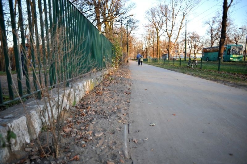 Kraków: uszkodzono krzewy przy parku Jordana [ZDJĘCIA]