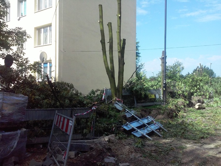 Piaśniki: Drzewa, które hamowały budowę łącznika Zubrzyckiego i Korfantego, zostały już wycięte