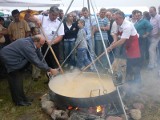 Festyn z kaszanką, festyn z kotami