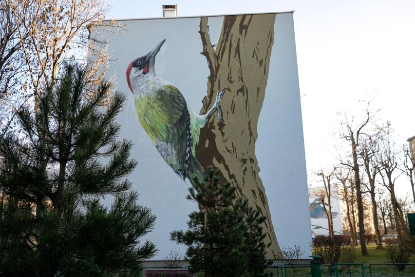Ptasie murale na blokach osiedla Na Kozłówce. W tym roku...