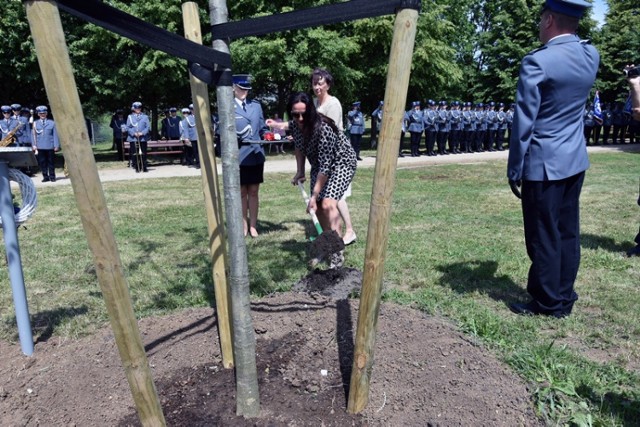 Dęby Pamięci poległych policjantów w legnickim Parku Bielańskim