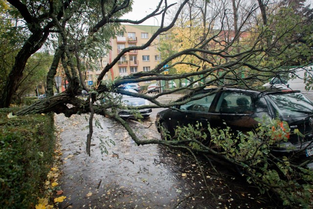 Niewątpliwie nawalne deszcze i powodzie grożą naszemu regionowi jak nigdy dotąd. A do tego - na zmianę - deficyty wody, susze, huraganowe wiatry.

Więcej w dalszej części galerii >>>


Likwidacja zmiany czasu - czy jest szkodliwa dla zdrowia?

