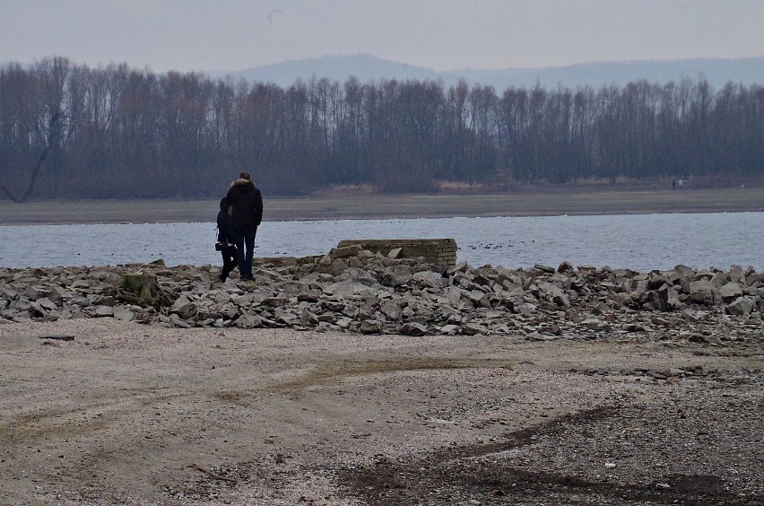 Zbiornik Słup odsłania kolejne ruiny wsi Żarek. Ludzie rozkradają bruk... [ZDJĘCIA]