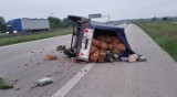 Wypadek na A1 w gminie Tuszyn. Przewróciła się przyczepa z ziemniakami ZDJĘCIA