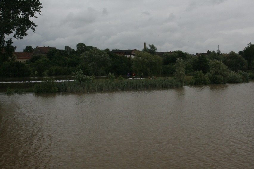 Legnica: Powódź na kąpielisku Kormoran w Legnicy. Czarna woda wylewa