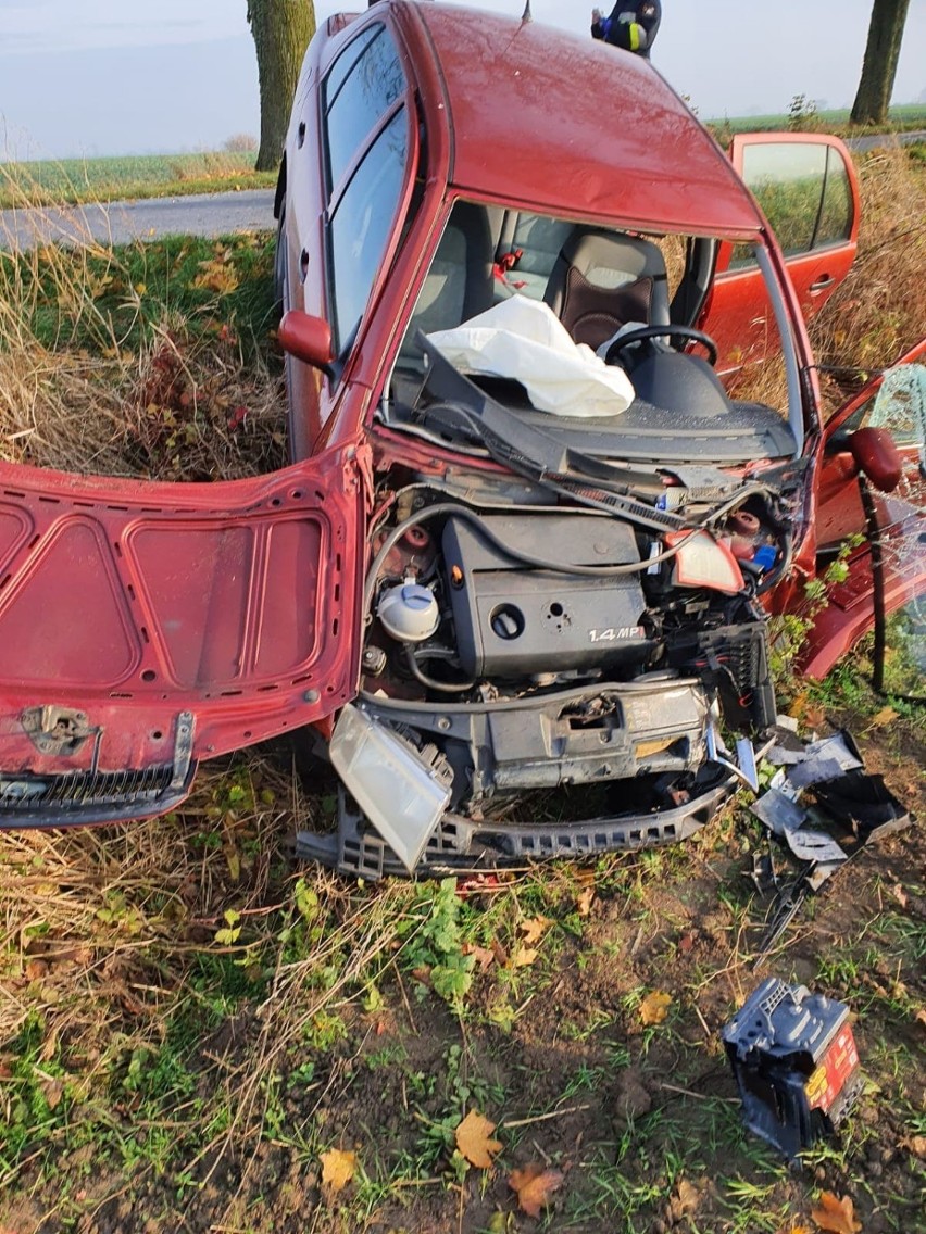 Gm. Nowy Staw. Wypadek w Świerkach [ZDJĘCIA]. Samochód osobowy uderzył w drzewo