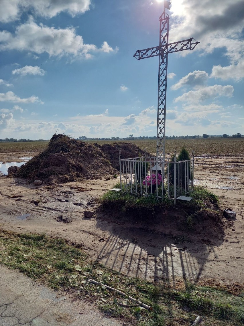 Powiat Gniezno. Wyciął drzewa, naruszył krzyż. Czeka go kara