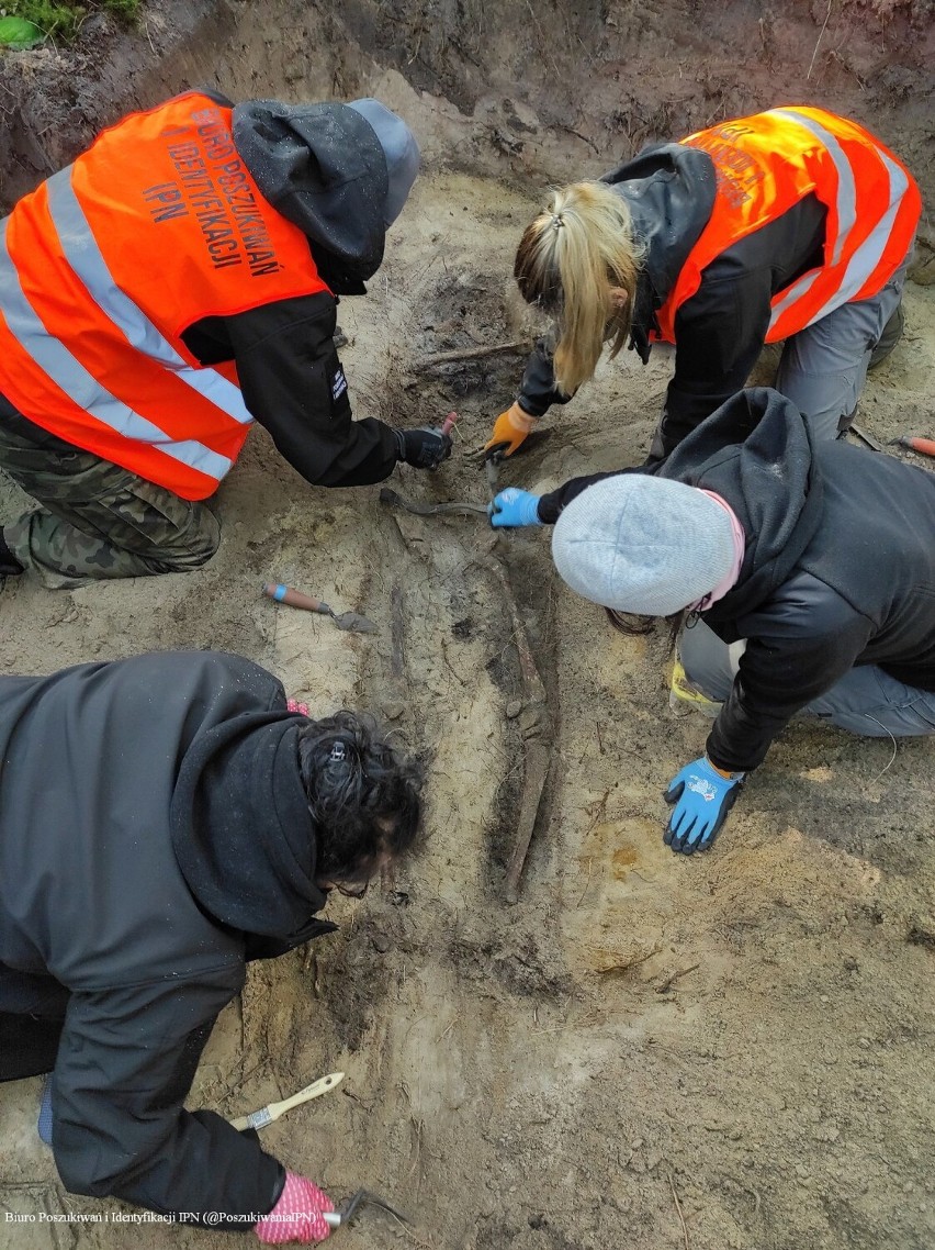 W Zwierzyńcu IPN odnalazł i ekshumował szczątki chłopca 