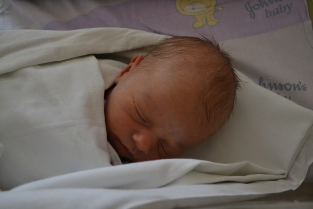 Adam Wieder, syn Katarzyny i Tomasza z Tworkowa, urodził się 7 kwietnia 2014 roku. Ważył 3100 gramów i mierzył 54 cm.