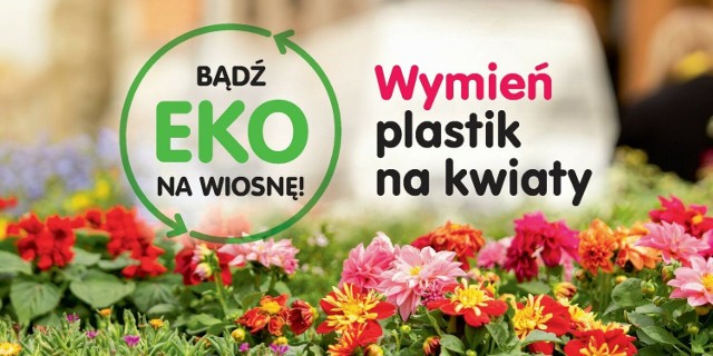 Wspólnie zadbajmy o nasze środowisko, wymieniając plastik na piękne oraz wielokolorowe rośliny doniczkowe.