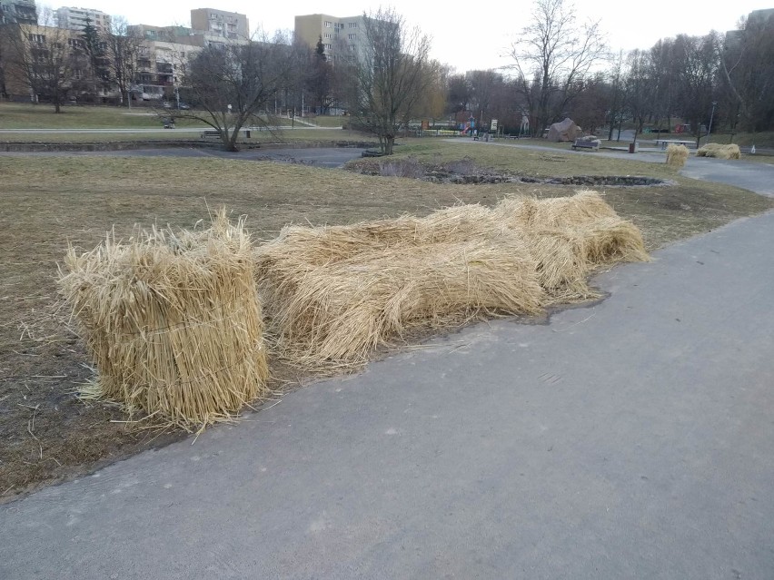 Plaga wandalizmu w warszawskich parkach i skwerach. "Z jednego stawu wyłowiono aż 10 betonowych ławek"