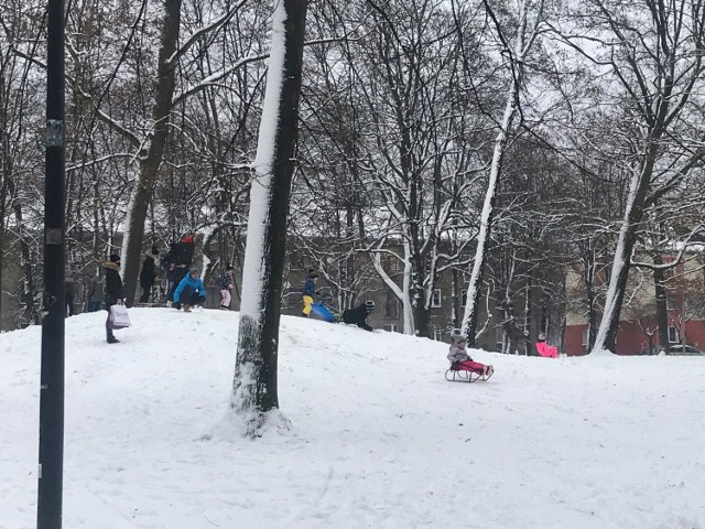 Wreszcie zima w Zawierciu! Dzieci w końcu mogą pozjeżdżać na sankach w parku, jest pięknie - zobaczcie zdjęcia! 
Zobacz kolejne zdjęcia. Przesuwaj zdjęcia w prawo - naciśnij strzałkę lub przycisk NASTĘPNE