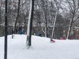 W końcu mamy zimę w Zawierciu! Dzieci wybiegły z domu na sanki do parku, w którym jest pięknie i zimowo - zobaczcie zdjęcia!