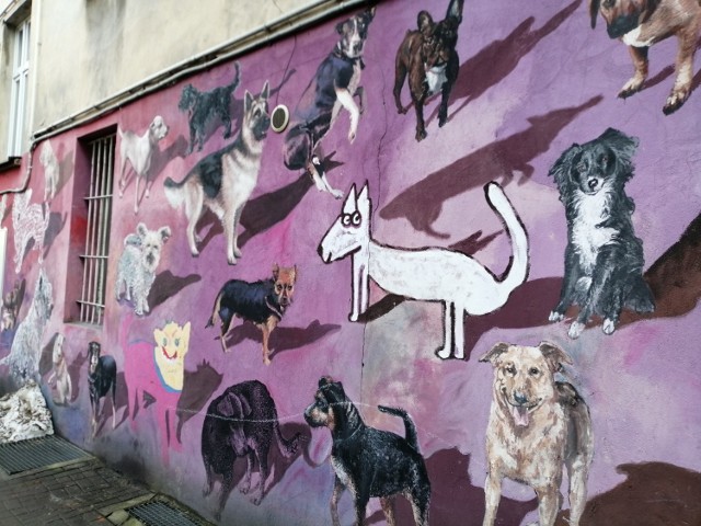 Murale na wrocławskim Nadodrzu są zachwycające!