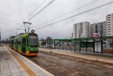 MPK Poznań chce zatrudnić Ukraińców jako kierowców autobusów, motorniczych i mechaników