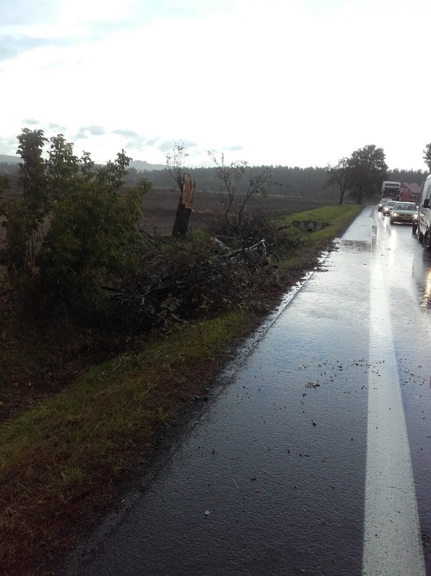 Silny wiatr w powiecie zawierciańskim. Strażacy mają dużo pracy FOTO