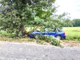 Subaru uderzyło w przydrożne drzewo w okolicy Święcianowa. Zdjęcia